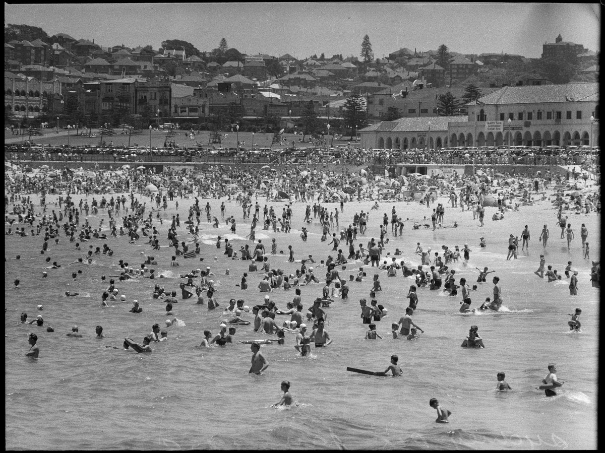 Summer crowds in the surf at Bondi Beach — photograph, from Bondi Beach, Sydney, circa 1950