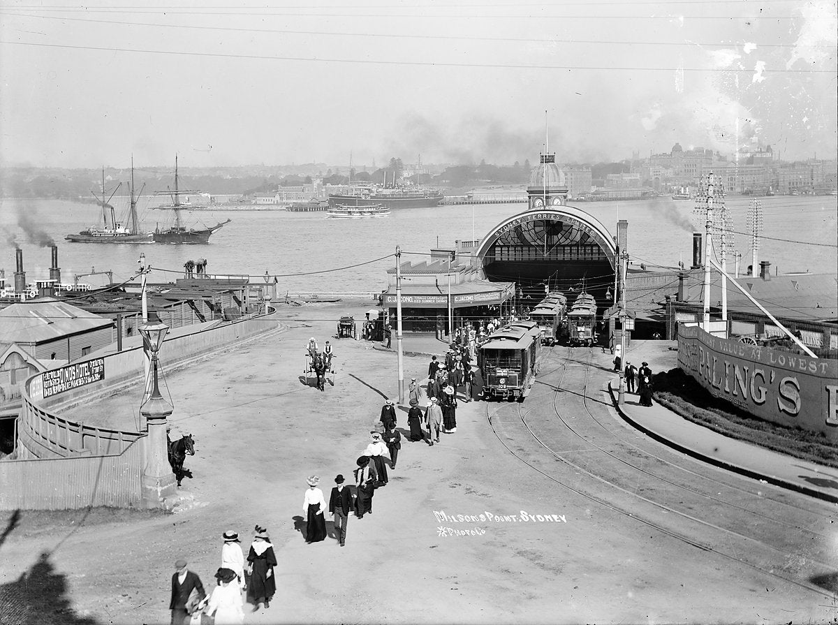 Trams at the Sydney Ferries terminus, Milsons Point — photograph, from Milsons Point, circa 1905