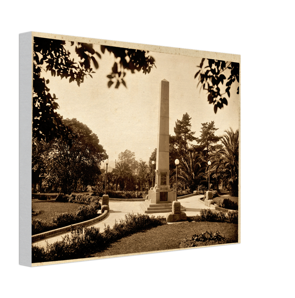 Canvas finish preview