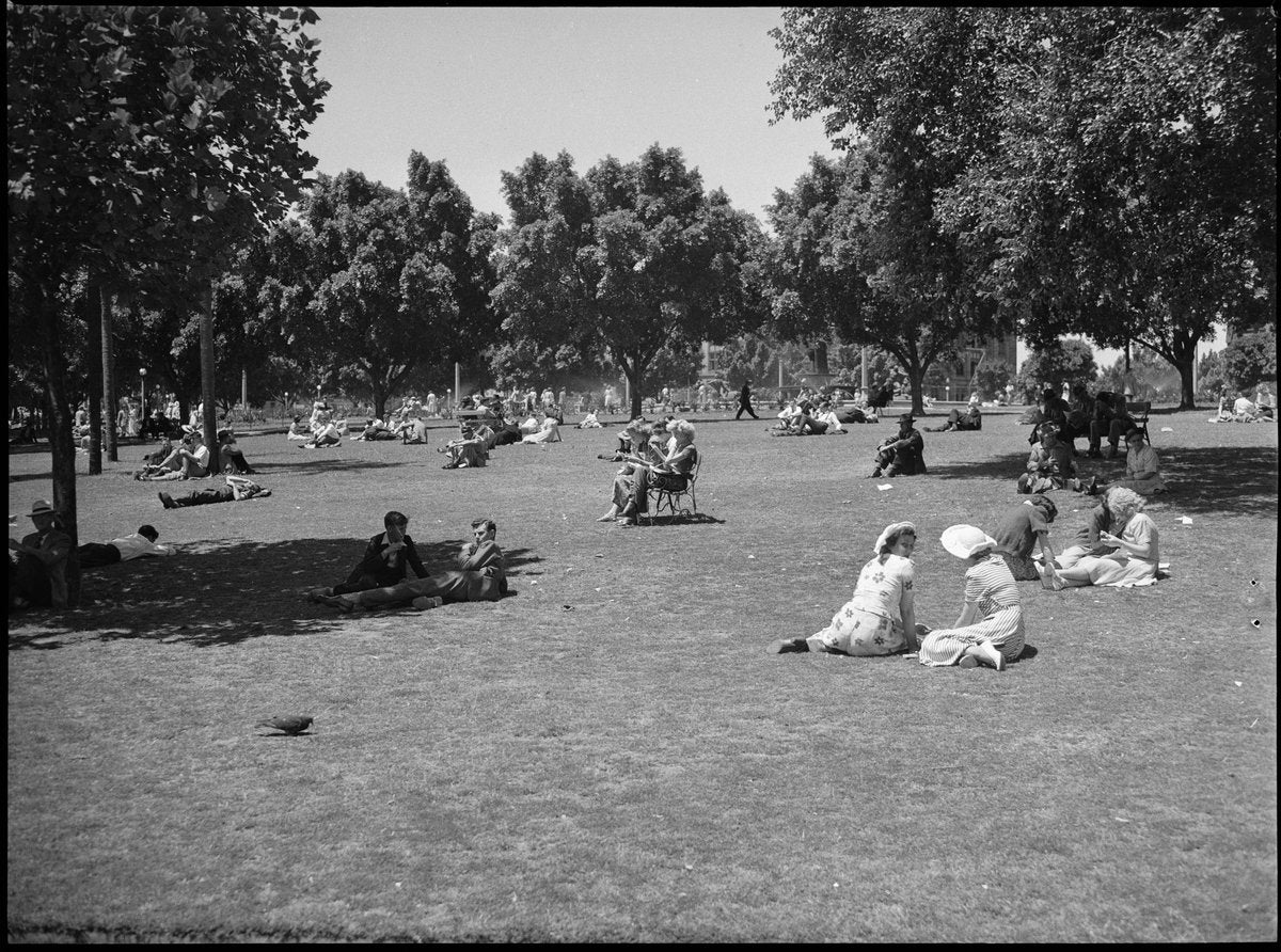 Sunbathers and picnickers on a Sydney park lawn, c. 1950 — photograph, from Sydney, New South Wales, circa 1950