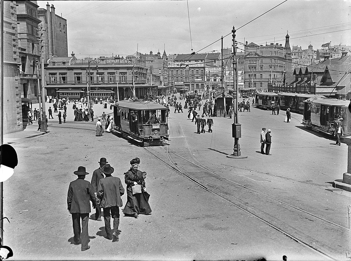 Trams at Circular Quay, Sydney — photograph, from Sydney CBD, circa 1898
