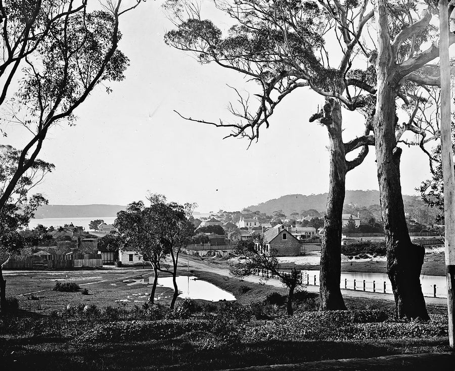 New South Head Road, Rose Bay — photograph, from New South Head Road, circa 1870