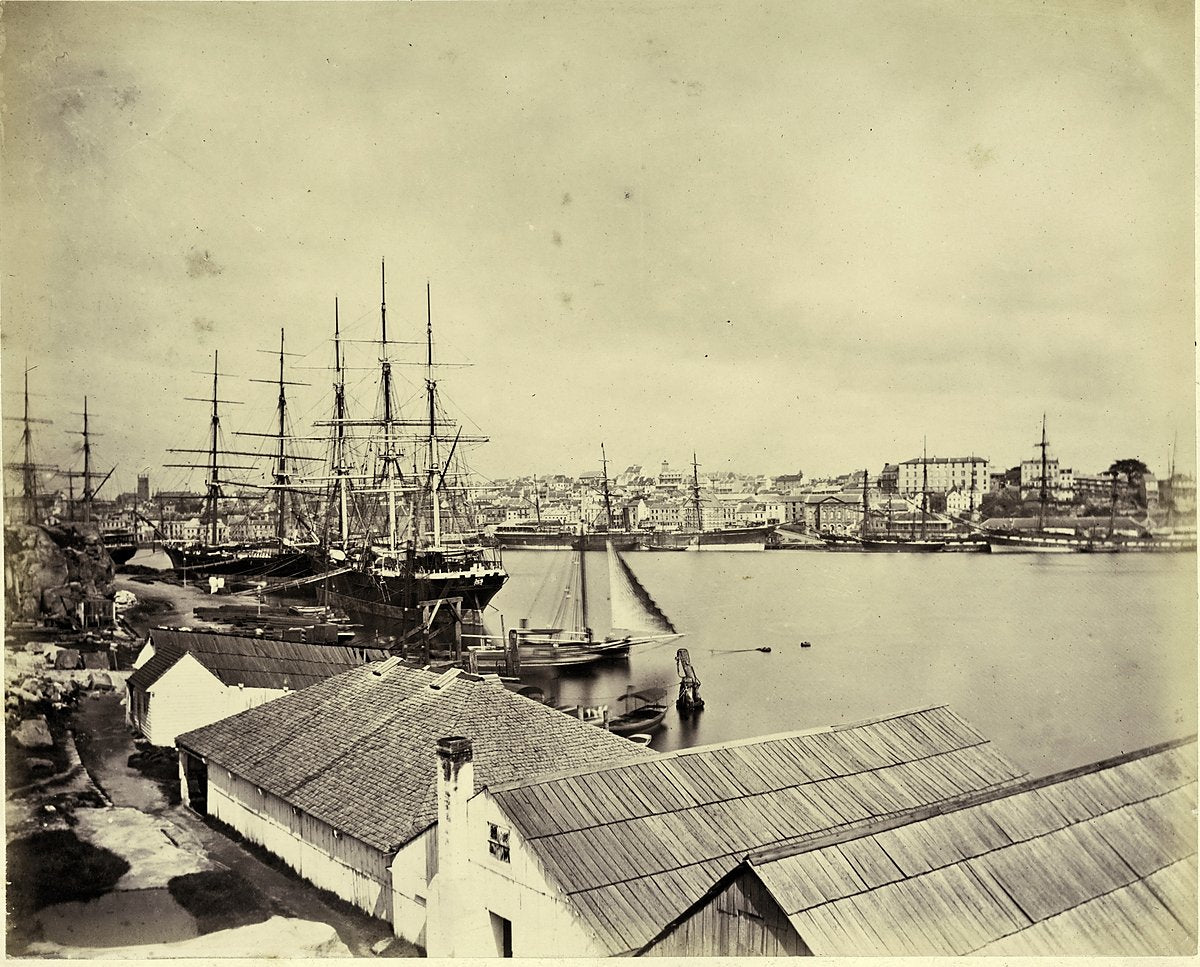 Sailing ships at the Circular Quay wharves, Sydney — photograph, from Sydney, c. 1870s