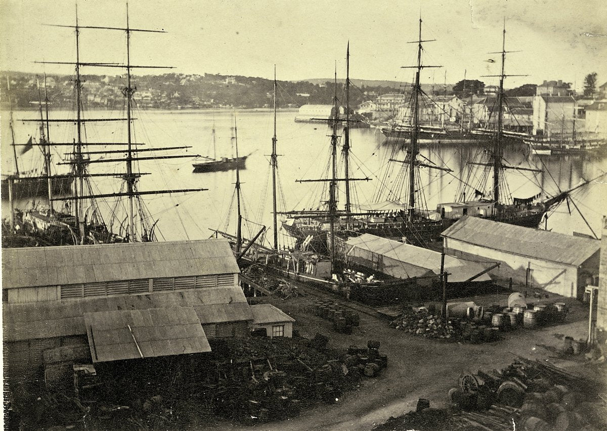 Sailing ships at the Millers Point waterfront — photograph, from Millers Point, circa 1880