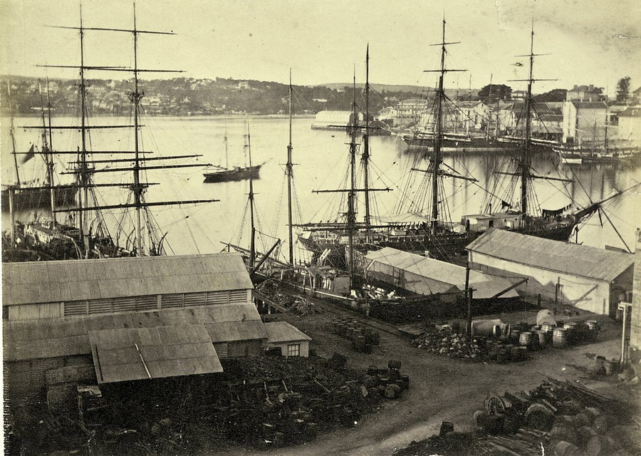Sailing ships at the Millers Point waterfront — photograph, from Millers Point, circa 1880