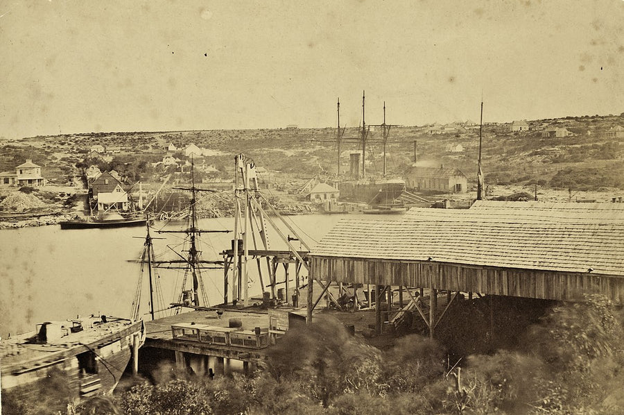 Mort's Dock, Balmain, with timber wharf and moored vessels — photograph, from Mort Bay Park, c. 1870s