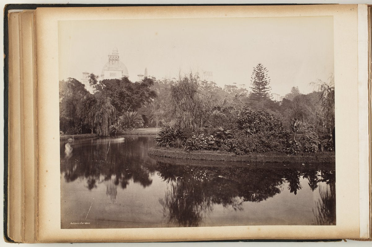 Garden Palace dome above a pond in Sydney's Botanic Gardens — photograph, from Royal Botanic Garden, Sydney, circa 1870