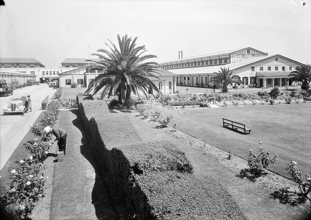 Gardens of the AWA works, Ashfield — photograph, from Ashfield, c. 1940s