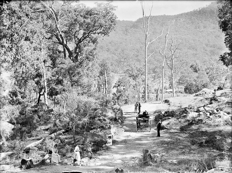 Motoring party with a 1900 Clement-Panhard on a bush track, Sydney region — photograph, from Sydney CBD, circa 1900