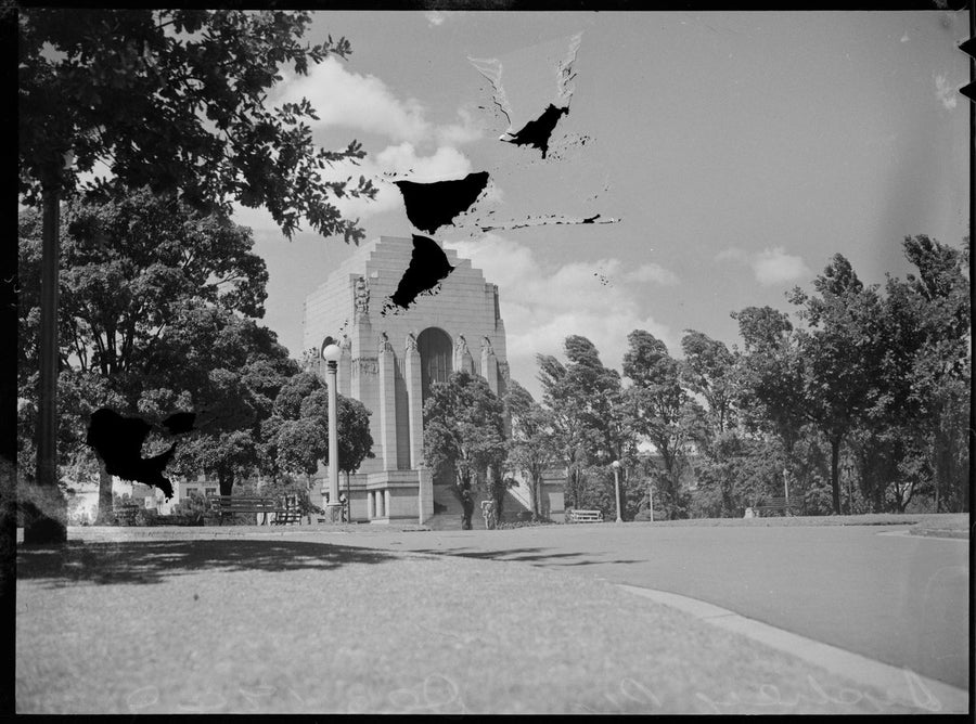 Anzac Memorial seen across Hyde Park, Sydney — photograph, from Anzac Memorial, Hyde Park, Sydney, circa 1949