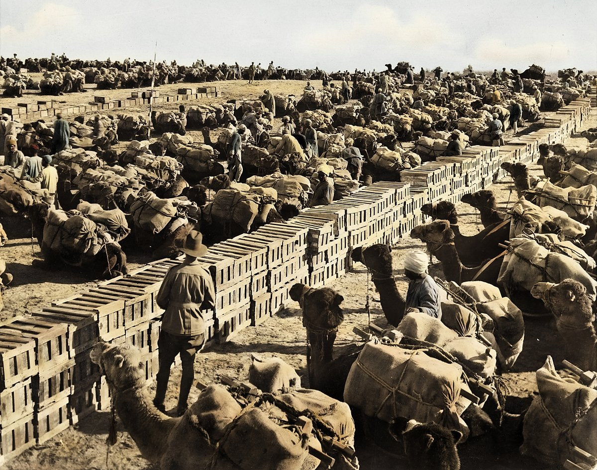 Camels loaded for the march at the Australian Light Horse dump, Deiran — photograph, circa 1918