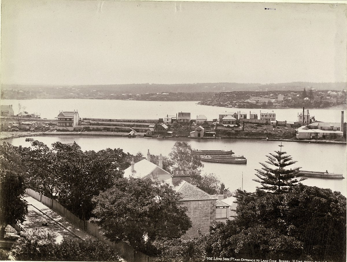 Boat sheds and houses at Long Nose Point, Birchgrove — photograph, from Yurulbin Point, c. 1880–90
