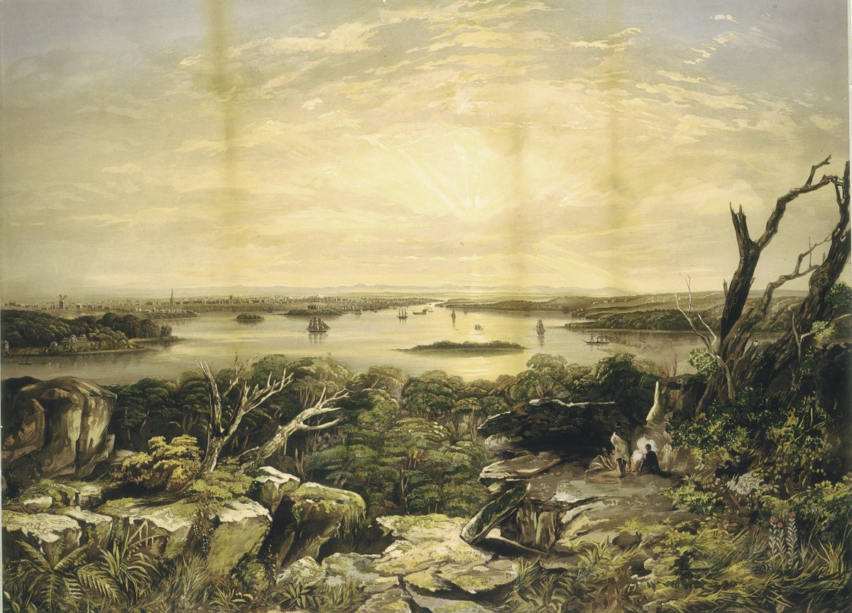 Sydney and its harbour from the height above Vaucluse, 1860 — illustration, from Vaucluse, circa 1860