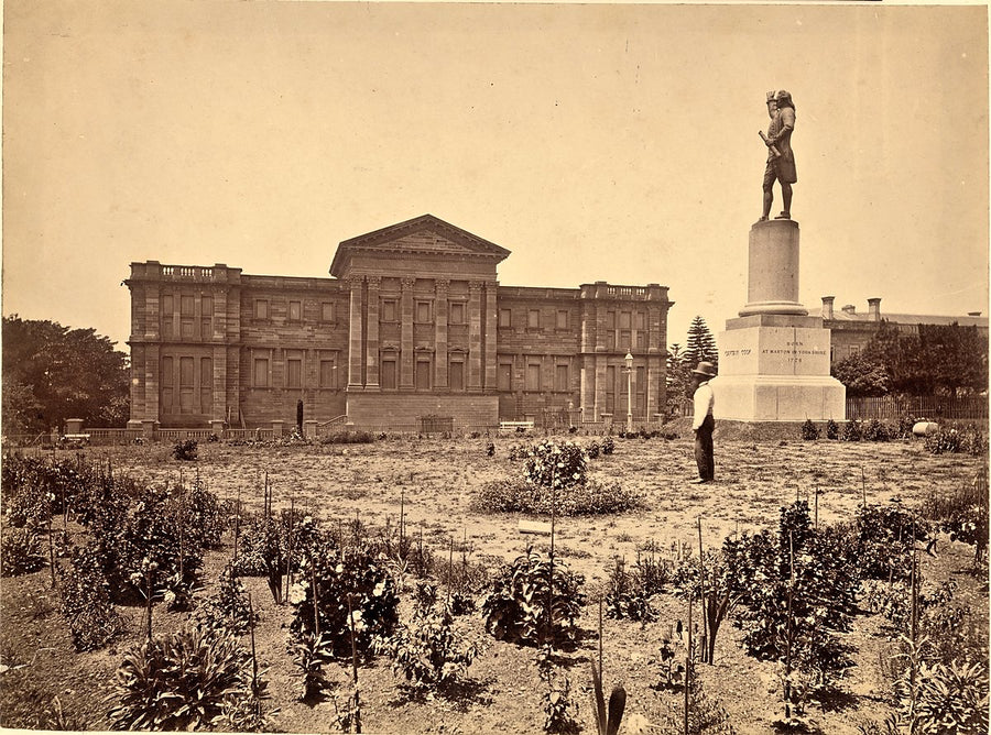 Captain Cook statue before the Australian Museum, Hyde Park — photograph, from Australian Museum, c. 1880s