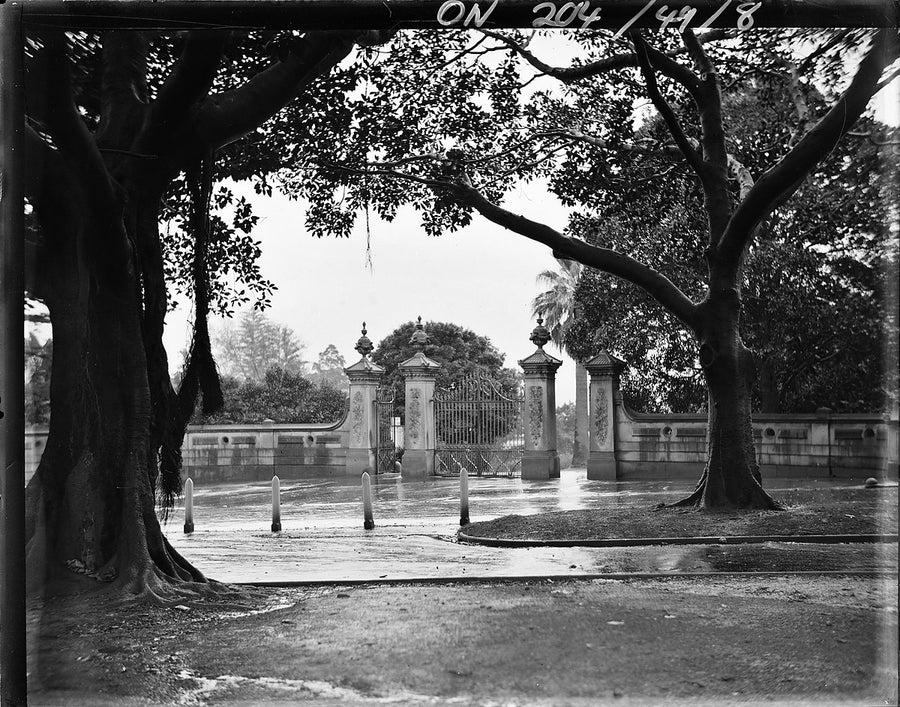 Entrance gates of the Botanic Gardens, Sydney, under the fig trees — photograph, from Royal Botanic Garden, circa 1927