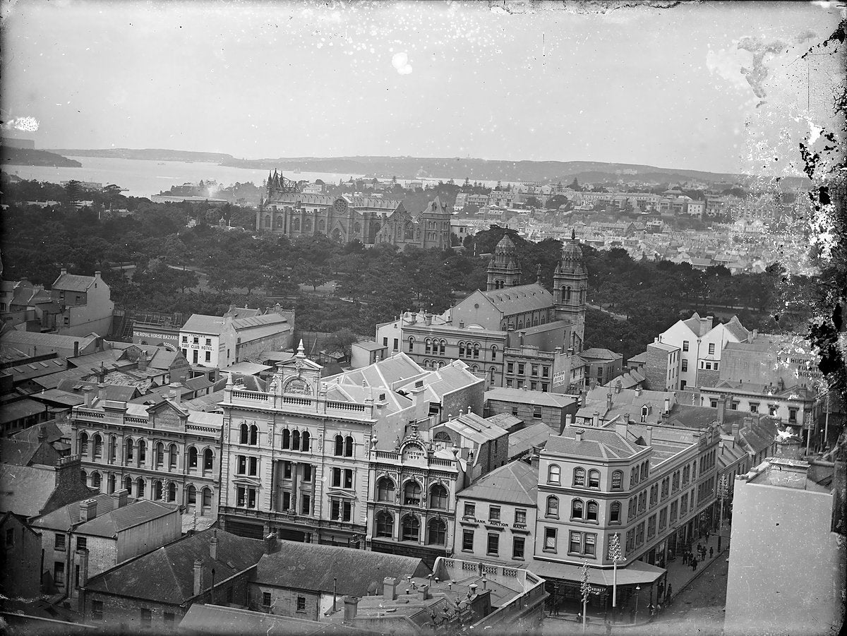 Sydney rooftops looking to St Mary's Cathedral — photograph, from St Mary's Cathedral, 1890–1910