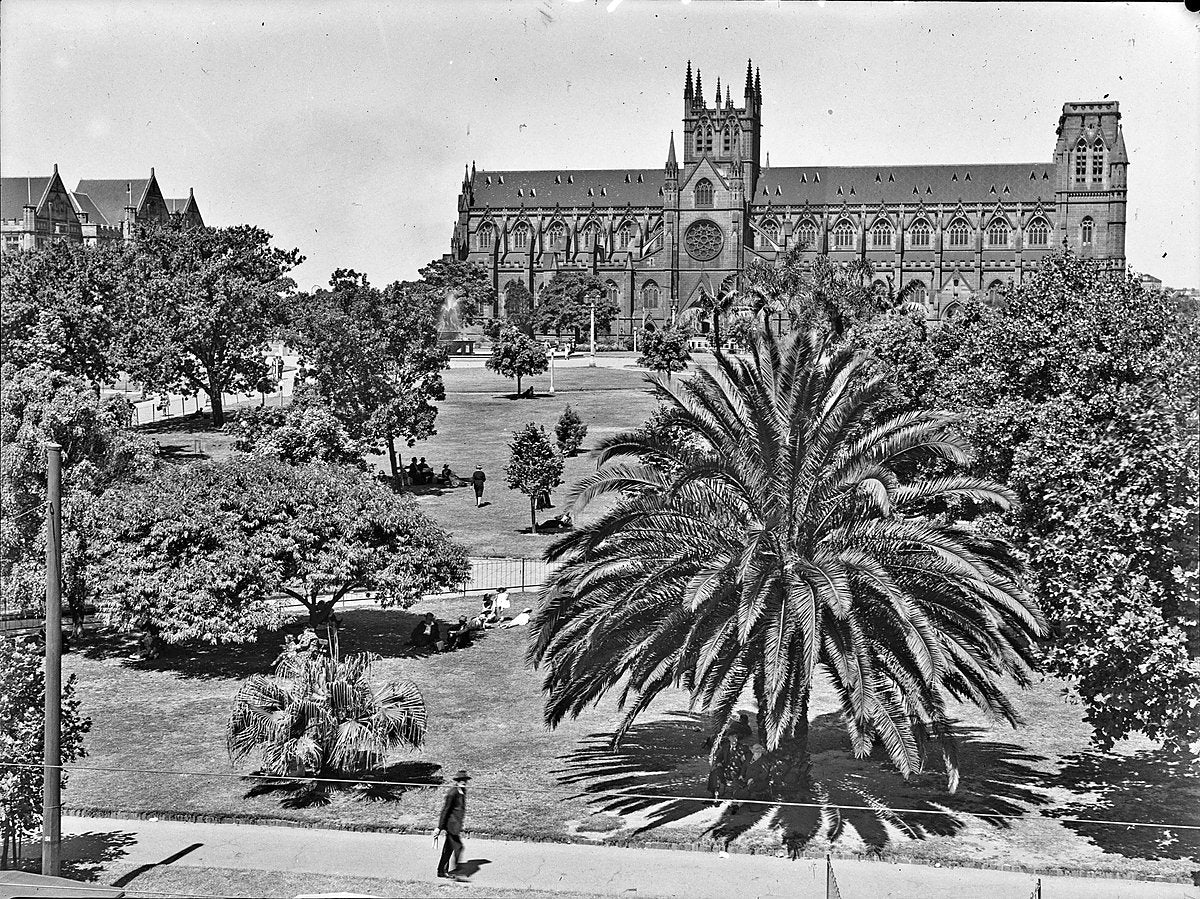 St Mary's Cathedral from Hyde Park, Sydney — photograph, from St Mary's Cathedral, circa 1933