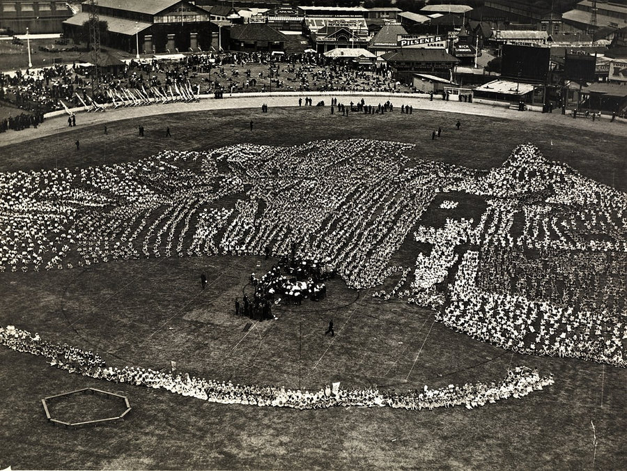 Living map of Australia at the Royal Agricultural Society Showground — photograph, from Driver Avenue, circa 1955