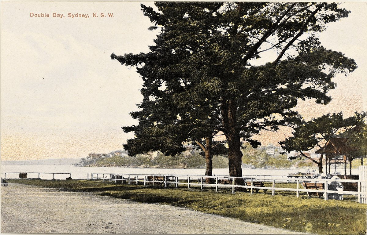 Foreshore reserve at Double Bay, Sydney — photograph, from Double Bay, circa 1915