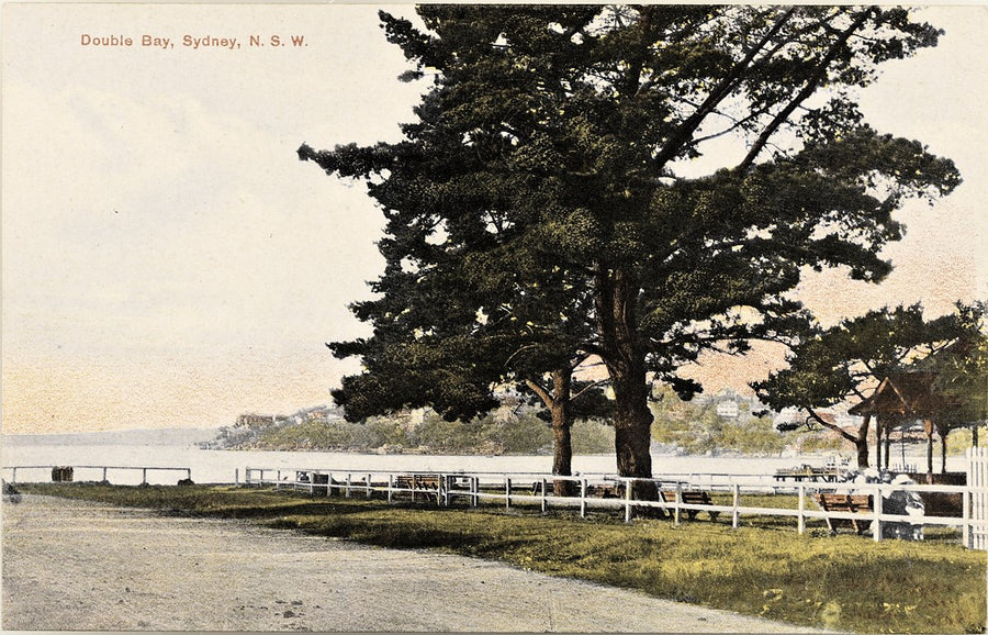 Foreshore reserve at Double Bay, Sydney — photograph, from Double Bay, circa 1915