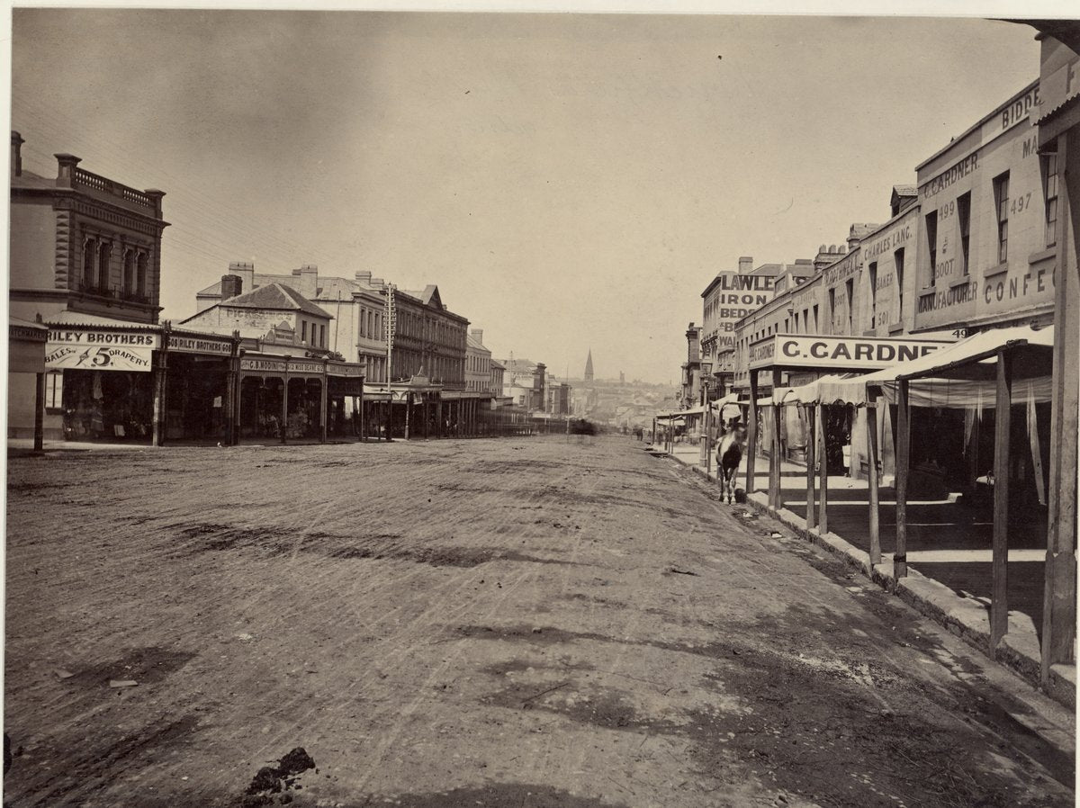 George Street, Sydney, with Riley Brothers drapers and C. Gardner's shops — photograph, from George Street, Sydney, circa 1879