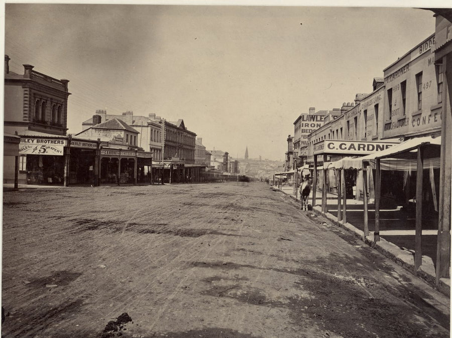 George Street, Sydney, with Riley Brothers drapers and C. Gardner's shops — photograph, from George Street, Sydney, circa 1879
