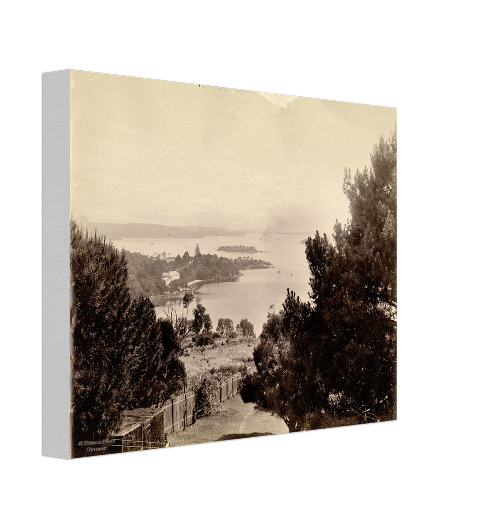 Canvas finish preview