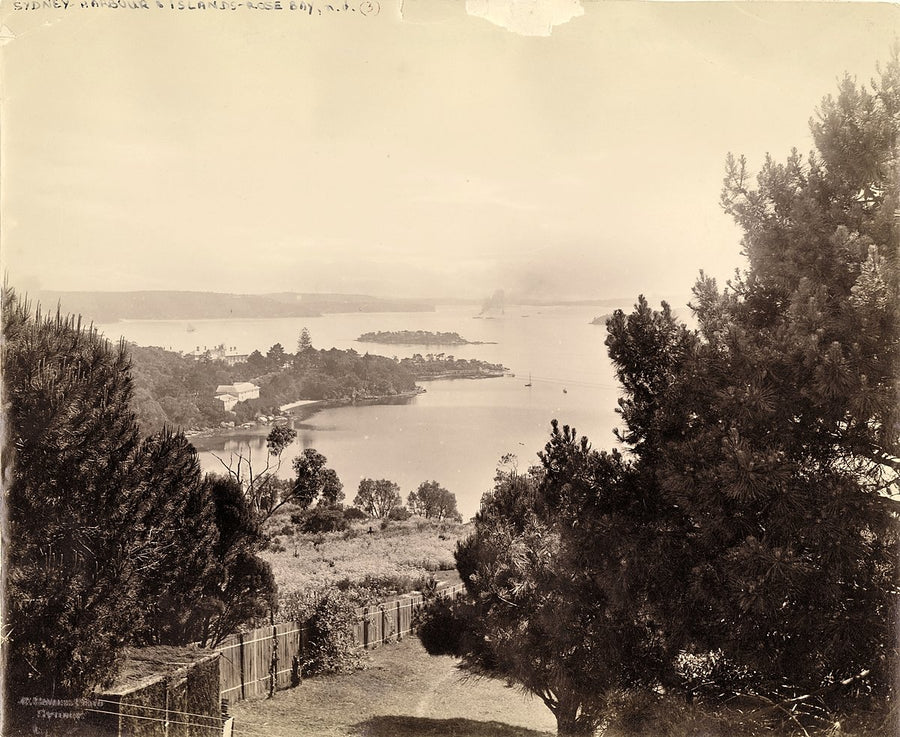 Rose Bay and Clark Island from Aston, Bellevue Hill — photograph, from Rose Bay