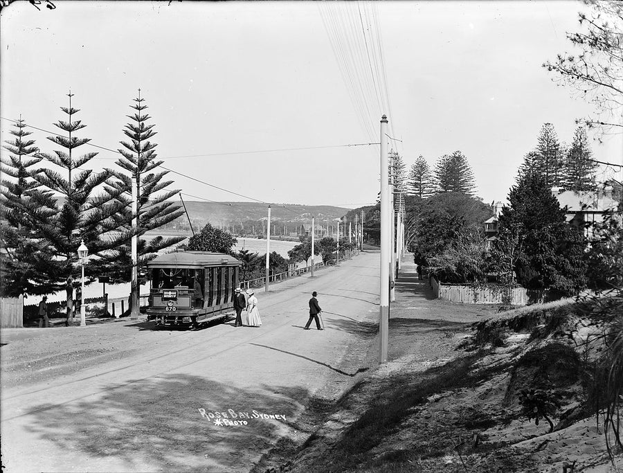 Electric tram bound for Watsons Bay at Rose Bay — photograph, from Rose Bay, circa 1905