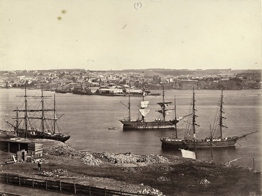 Sailing ships at anchor in Darling Harbour, looking toward Pyrmont — photograph, from Darling Harbour, circa 1880