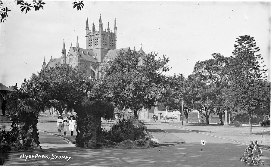 St Mary's Cathedral from Hyde Park, Sydney — photograph, from St Mary's Cathedral, 1900–10