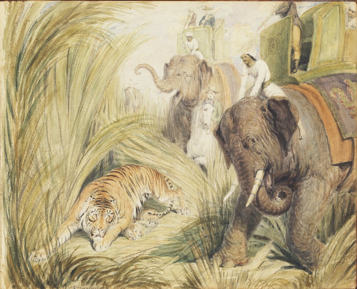 Tiger Hunt with Elephants and Howdah, 1821 — illustration, circa 1821