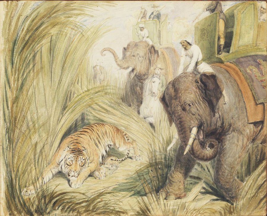 Tiger Hunt with Elephants and Howdah, 1821 — illustration, circa 1821