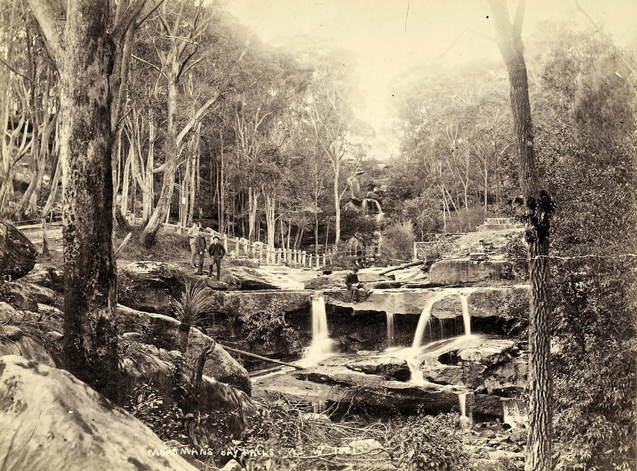 Mosman Bay Falls, New South Wales, 1880 — photograph, from Mosman Bay, circa 1880