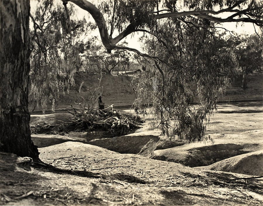 Dry riverbed beneath eucalypts, New South Wales — photograph, circa 1947