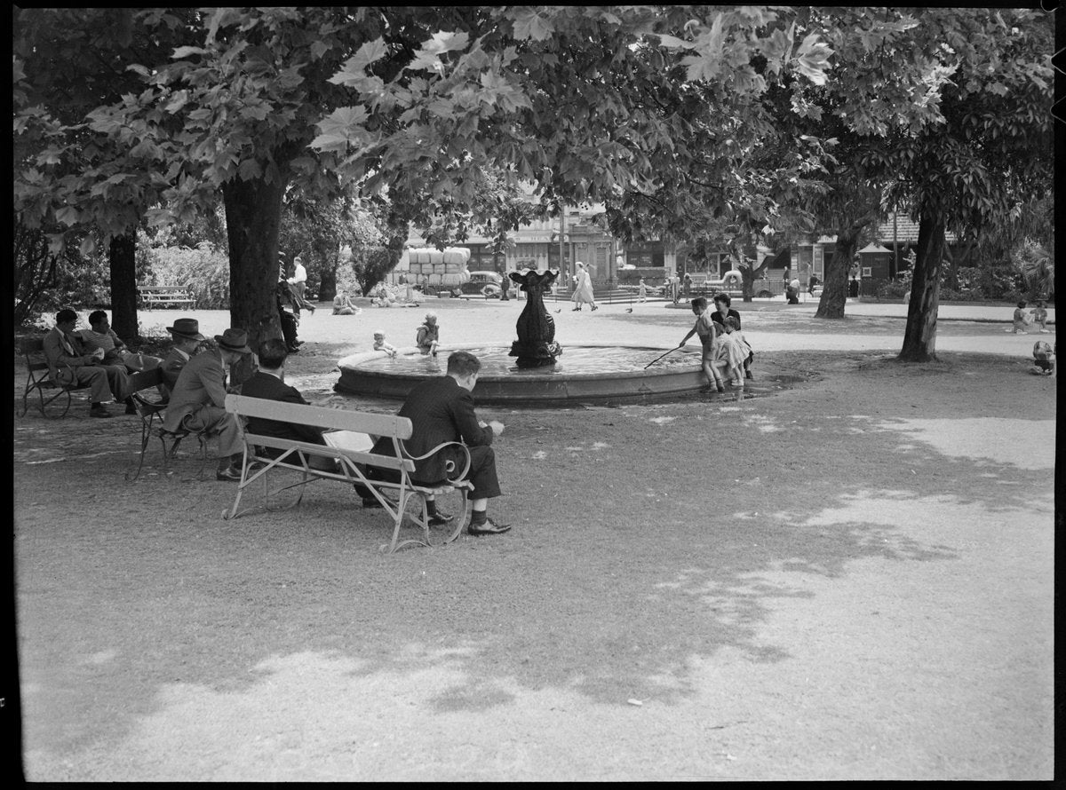 Park fountain and shaded benches, Sydney, around 1949 — photograph, from Sydney, New South Wales, circa 1949