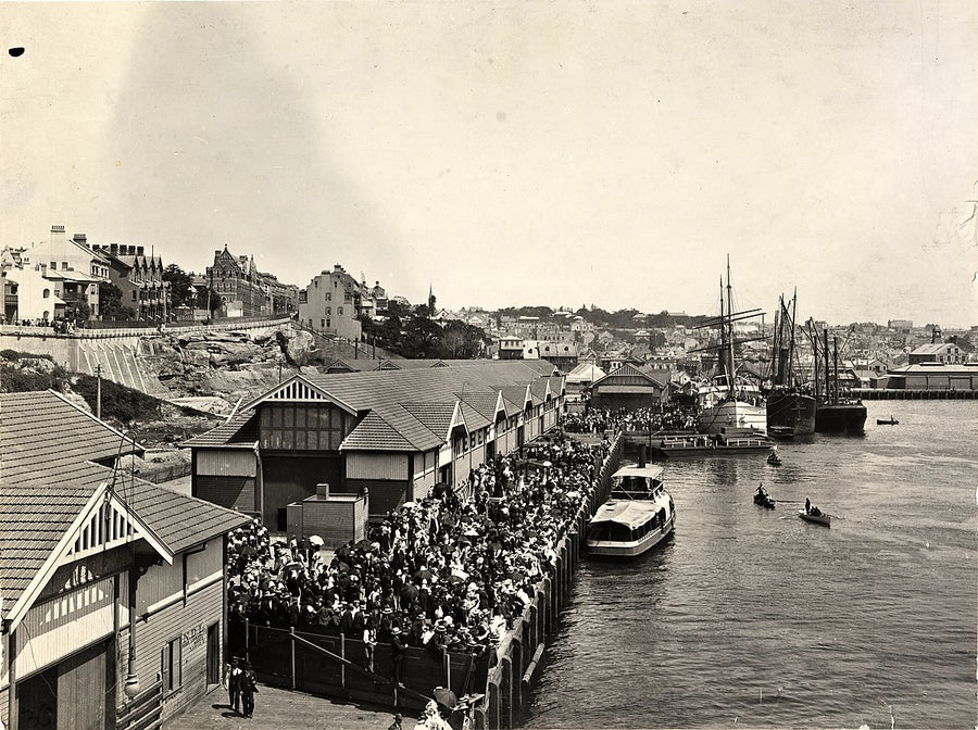 Crowd on a Sydney waterfront wharf beside ferry and sailing ships — photograph, from Sydney, 1900–38
