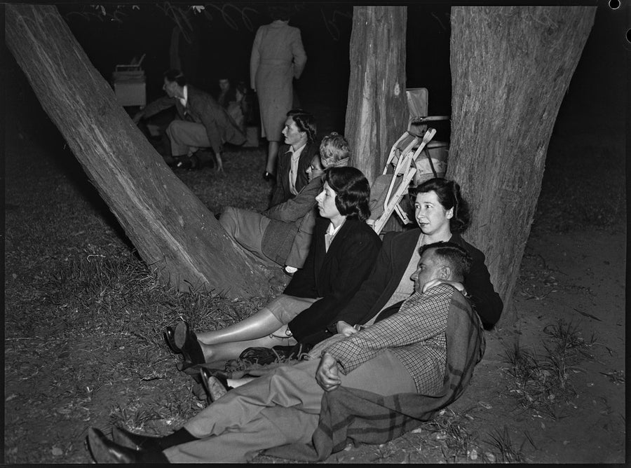 Night audience under the trees, North Sydney Music Shell, 1948 — photograph, from St Leonards Park, North Sydney, circa 1948