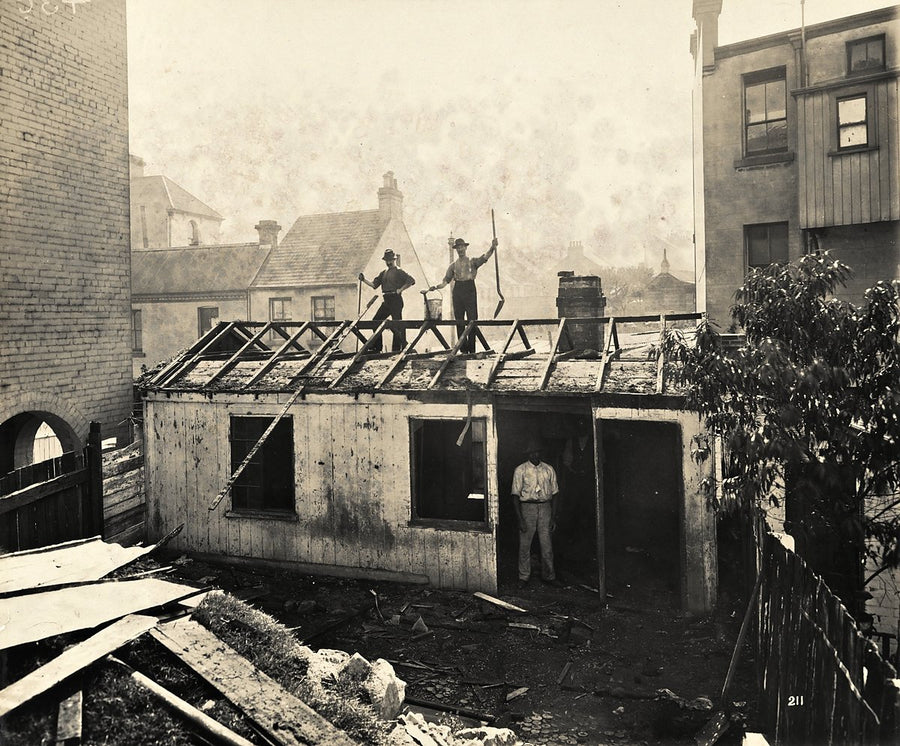 Dismantling a roof during Sydney's 1900 plague cleansing — photograph, from Sydney CBD, circa 1900