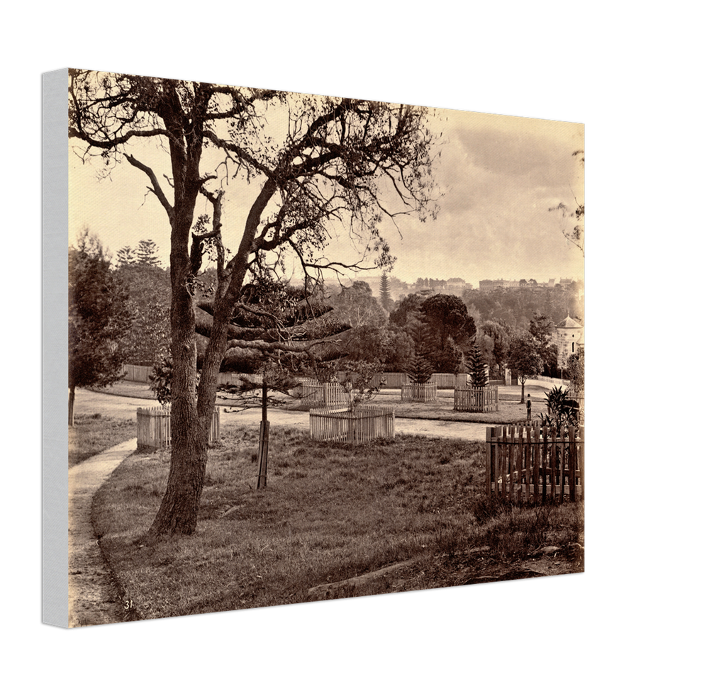 Canvas finish preview