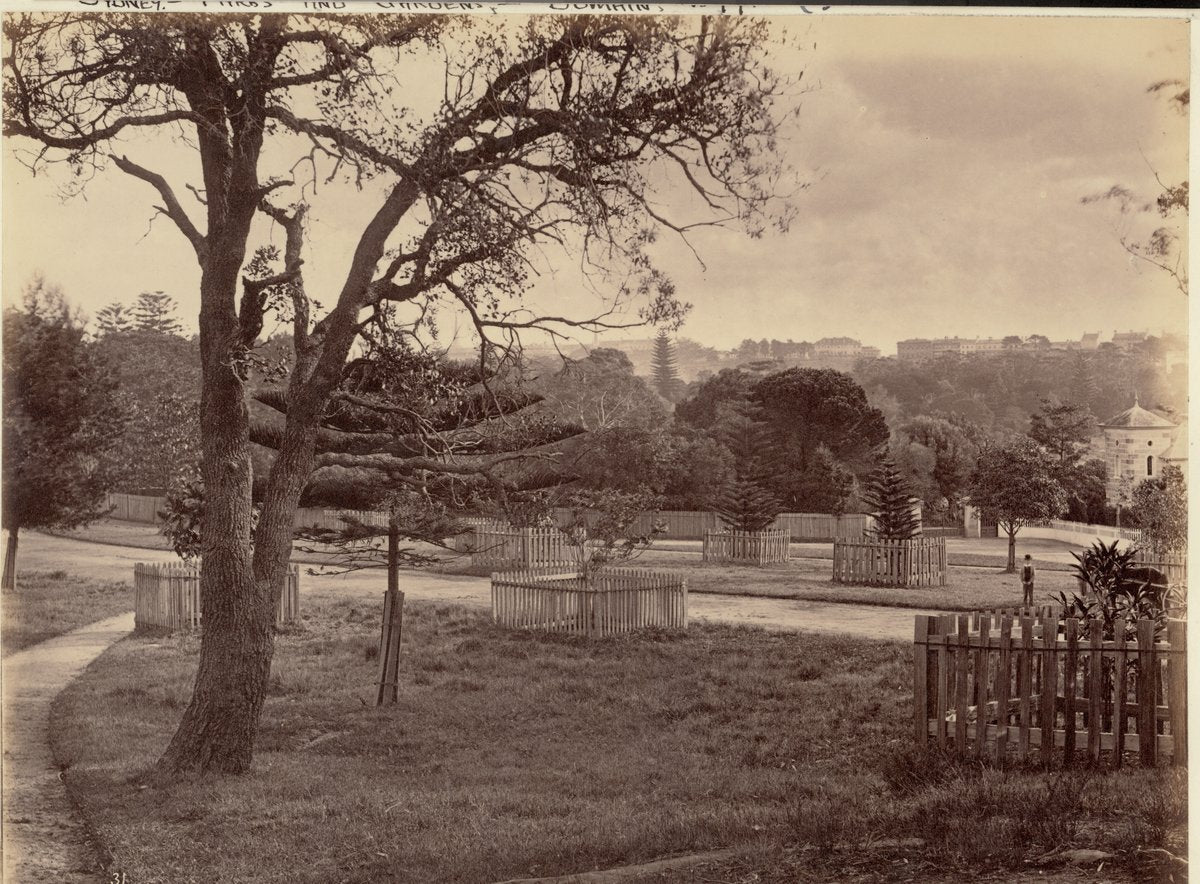 The Domain, Sydney, with the corner of Victoria Lodge — photograph, from The Domain, Sydney, circa 1877