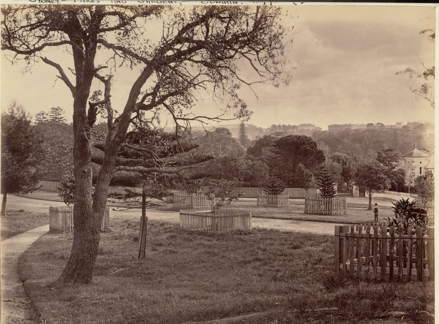 The Domain, Sydney, with the corner of Victoria Lodge — photograph, from The Domain, Sydney, circa 1877