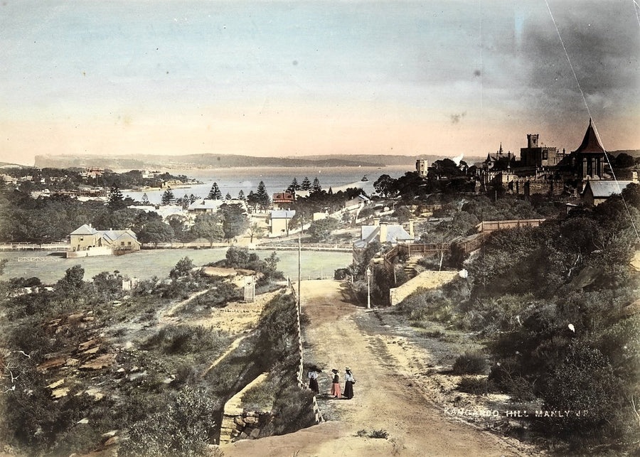 Manly Cove from Kangaroo Hill, Manly — photograph, from Manly Cove, c. 1880–98