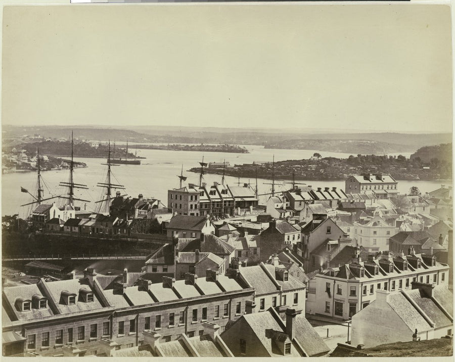 Millers Point rooftops and harbour, with sailing ships off Kent Street — photograph, from Millers Point, Sydney, circa 1880