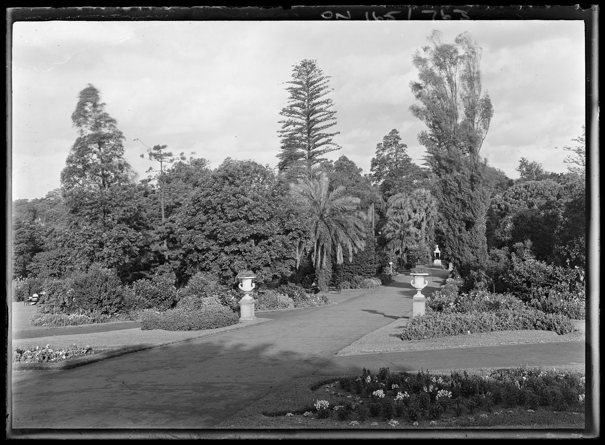 Urn-lined garden path, Royal Botanic Garden, Sydney — photograph, from Royal Botanic Garden, Sydney, circa 1911