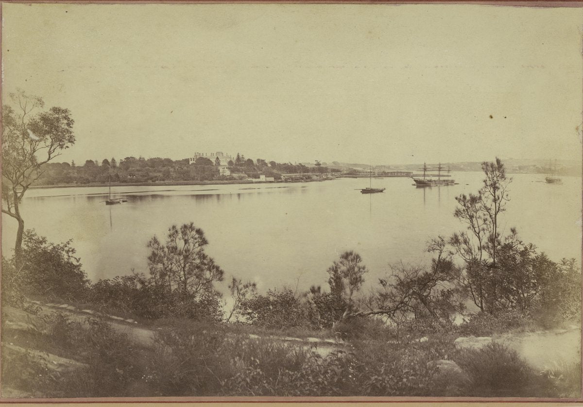 Farm Cove from across the water, with shipping at anchor — photograph, from Farm Cove, Sydney Harbour, New South Wales, circa 1870
