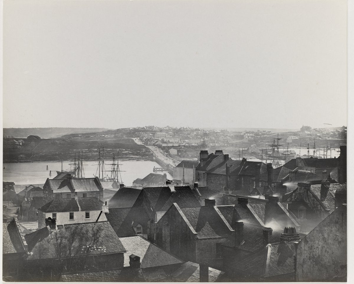 Head of Darling Harbour from the heights of Pyrmont — photograph, from Darling Harbour, Sydney, circa 1865