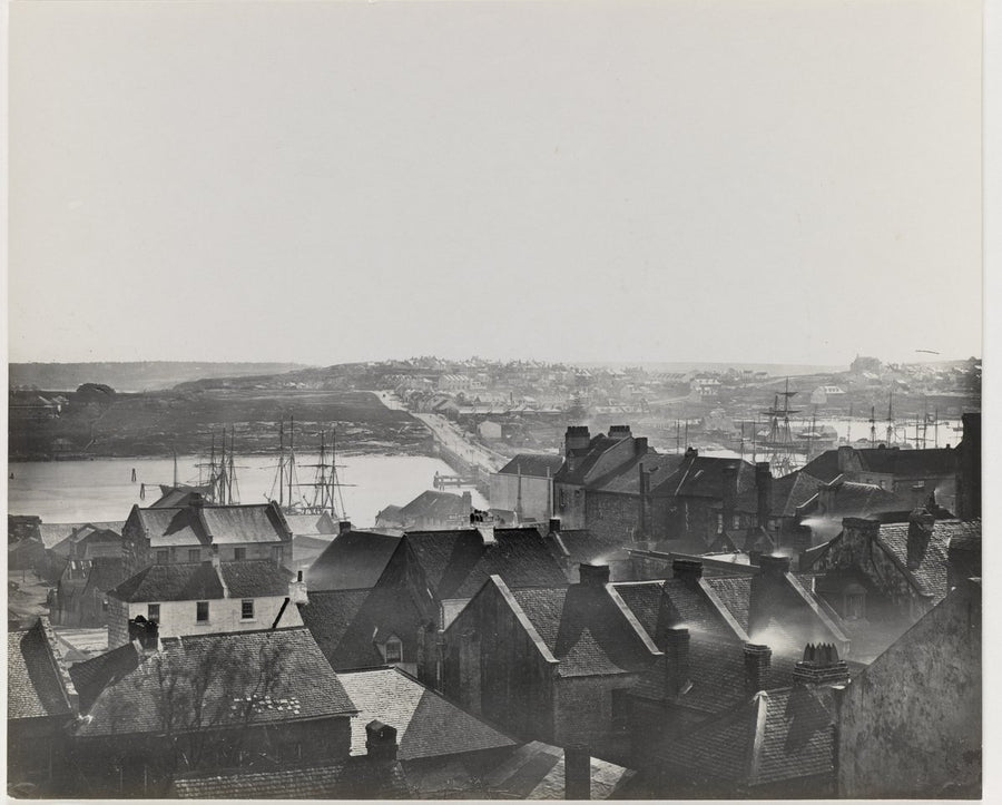 Head of Darling Harbour from the heights of Pyrmont — photograph, from Darling Harbour, Sydney, circa 1865