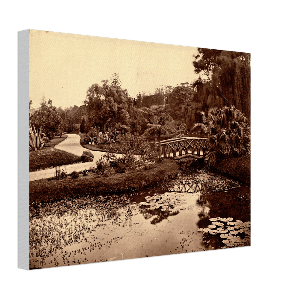 Canvas finish preview