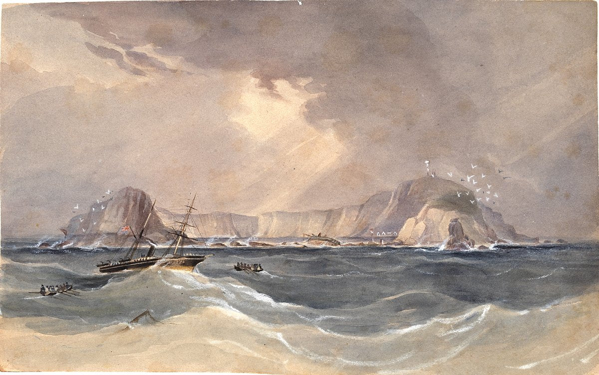 Paddle steamer in rough seas off a cliffed coast — illustration, circa 1880